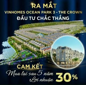 Chính sách bán hàng của Vinhomes Ocean Park 3 The Crown