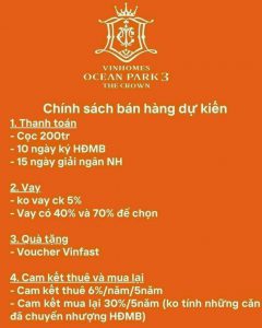 Chính sách chưa từng có tại Vinhomes Ocean Park 3 - The Crown