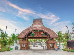 Paradise Bay - 1 góc nhìn với trải nghiệm hoàn toàn mới lạ tại Vịnh biển thiên đường!!!
