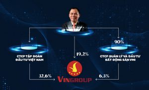 Phạm Nhật Vượng sẽ là cổ đông chính, chiếm 90% cổ phần của VMI JSC